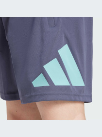 Шорты Adidas модель IW3410-KZ Фото