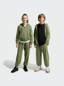 Брюки Adidas модель IX9444-KZ Фото
