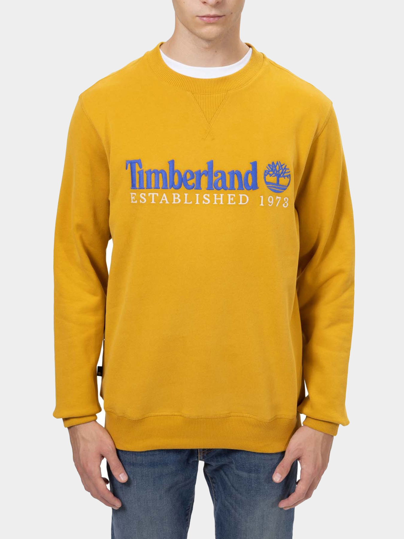 Худи и свитшоты Timberland модель TB0A65DDEFM Фото