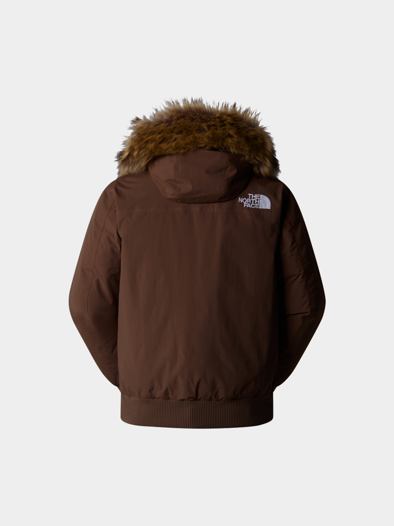 Куртки и дубленки The North Face модель NF0A5GD91OI1 Фото