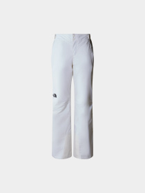 Брюки The North Face модель NF0A87ZZFN41 Фото