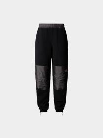 Брюки The North Face модель NF0A88YS4O41 Фото