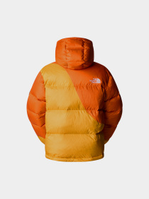 Куртки и дубленки The North Face модель NF0A89GD0IH1 Фото