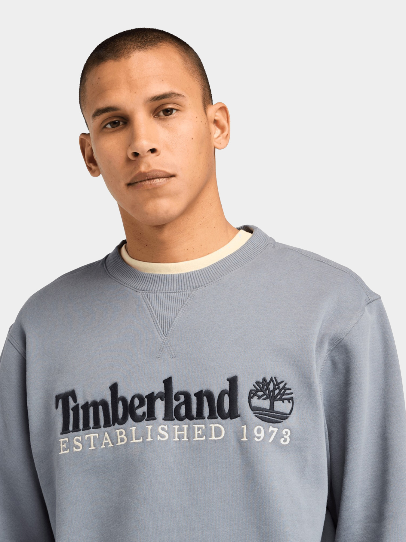 Худи и свитшоты Timberland модель TB0A65DD073 Фото