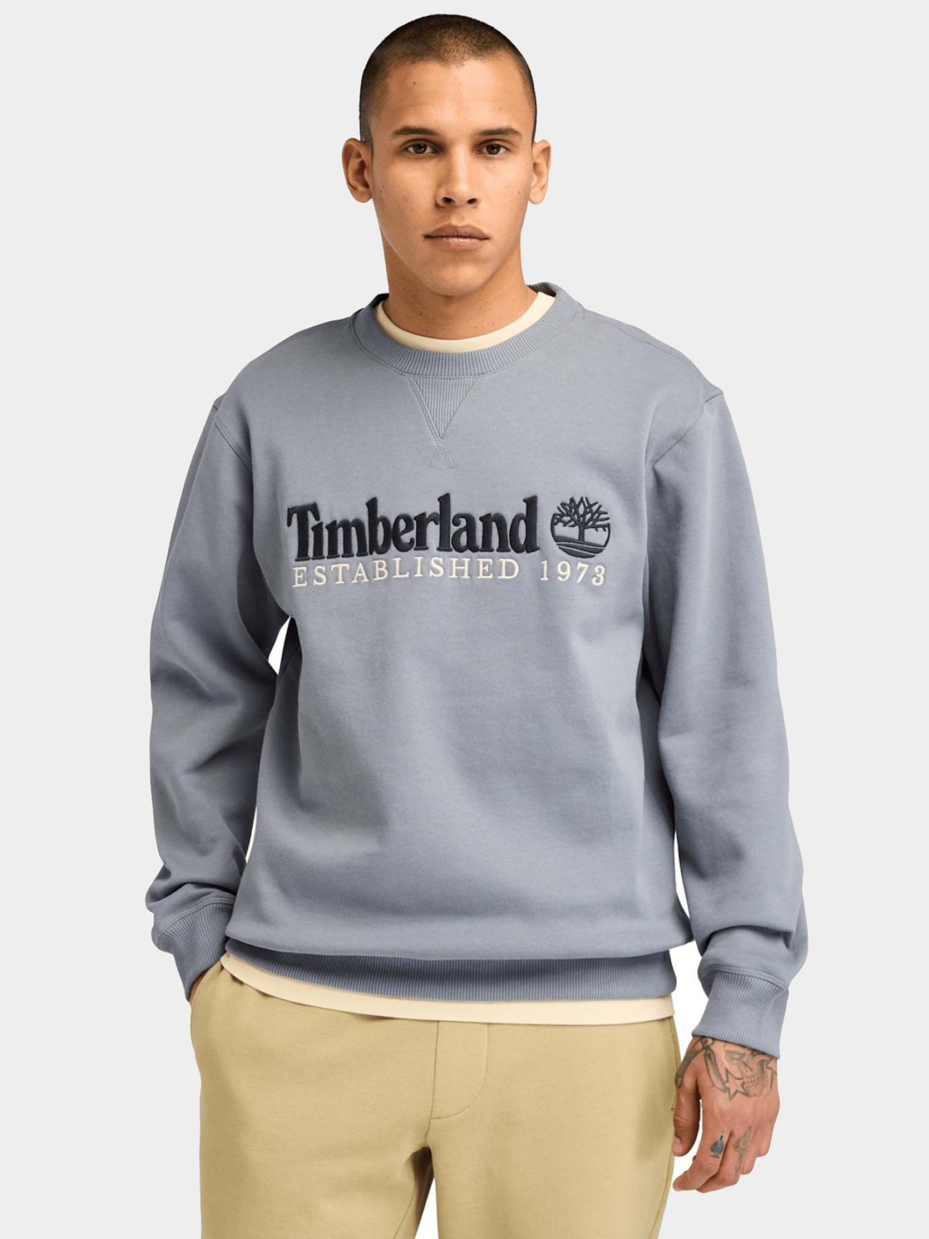 Худи и свитшоты Timberland модель TB0A65DD073 Фото