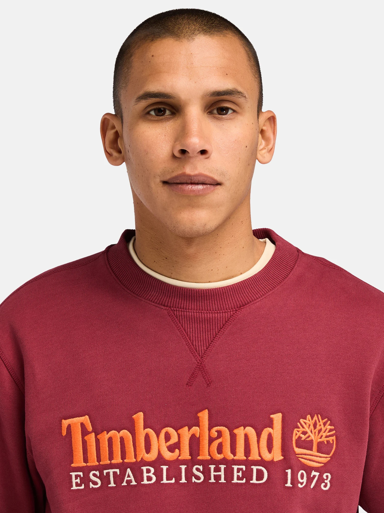 Худи и свитшоты Timberland модель TB0A65DD600 Фото
