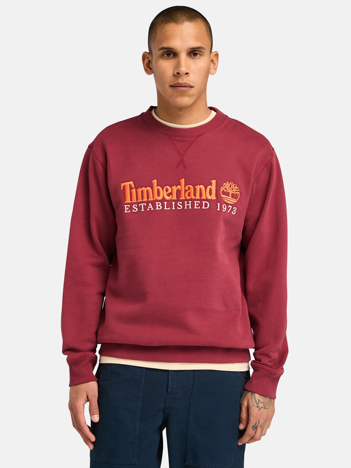 Худи и свитшоты Timberland модель TB0A65DD600 Фото