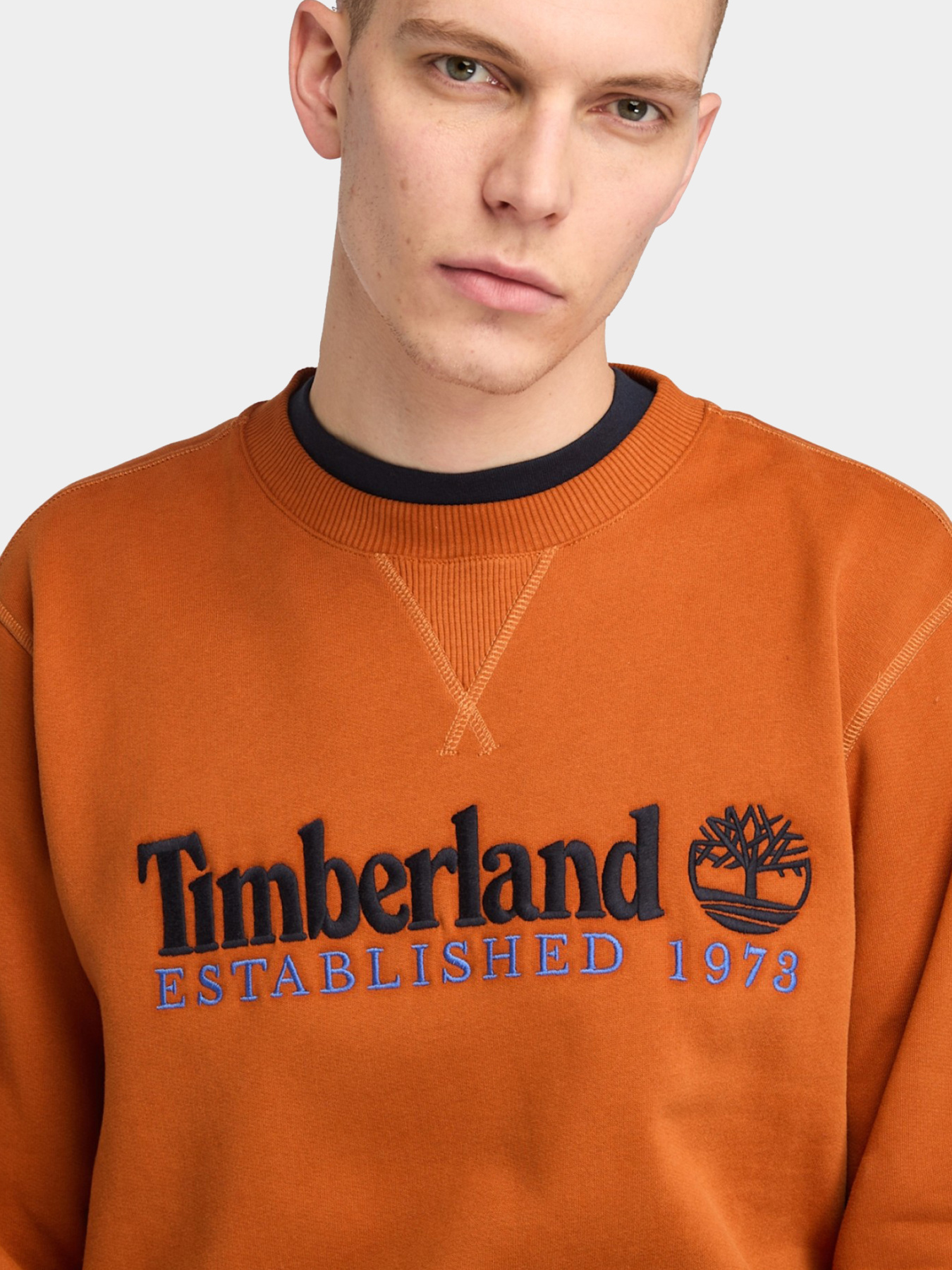 Худи и свитшоты Timberland модель TB0A65DD888 Фото