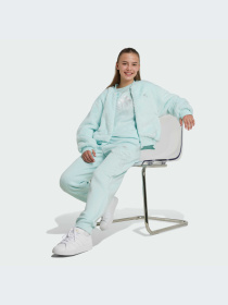 Куртки и дубленки Adidas модель IV9420-KZ Фото