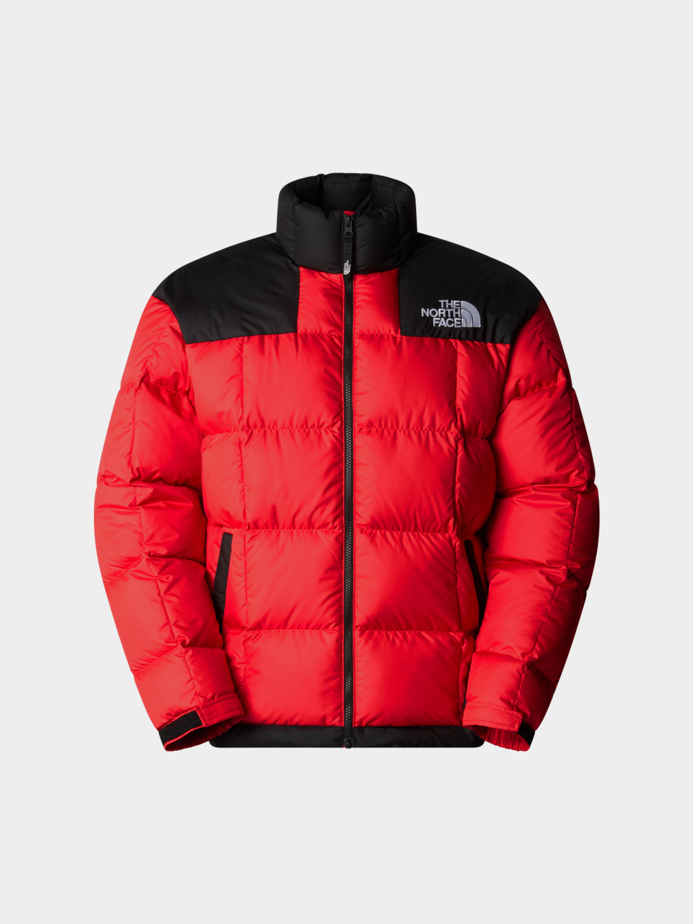 Куртки и дубленки The North Face модель NF0A3Y236821 Фото