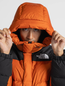 Куртки и дубленки The North Face модель NF0A4QYX5PO1 Фото