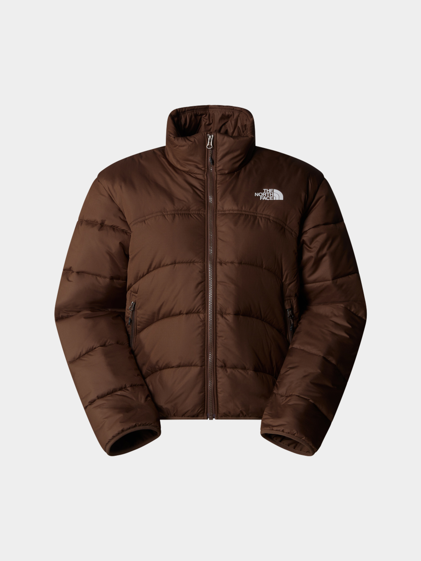 Куртки и дубленки The North Face модель NF0A7URF1OI1 Фото