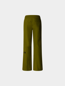 Брюки The North Face модель NF0A87ZZPIB1 Фото