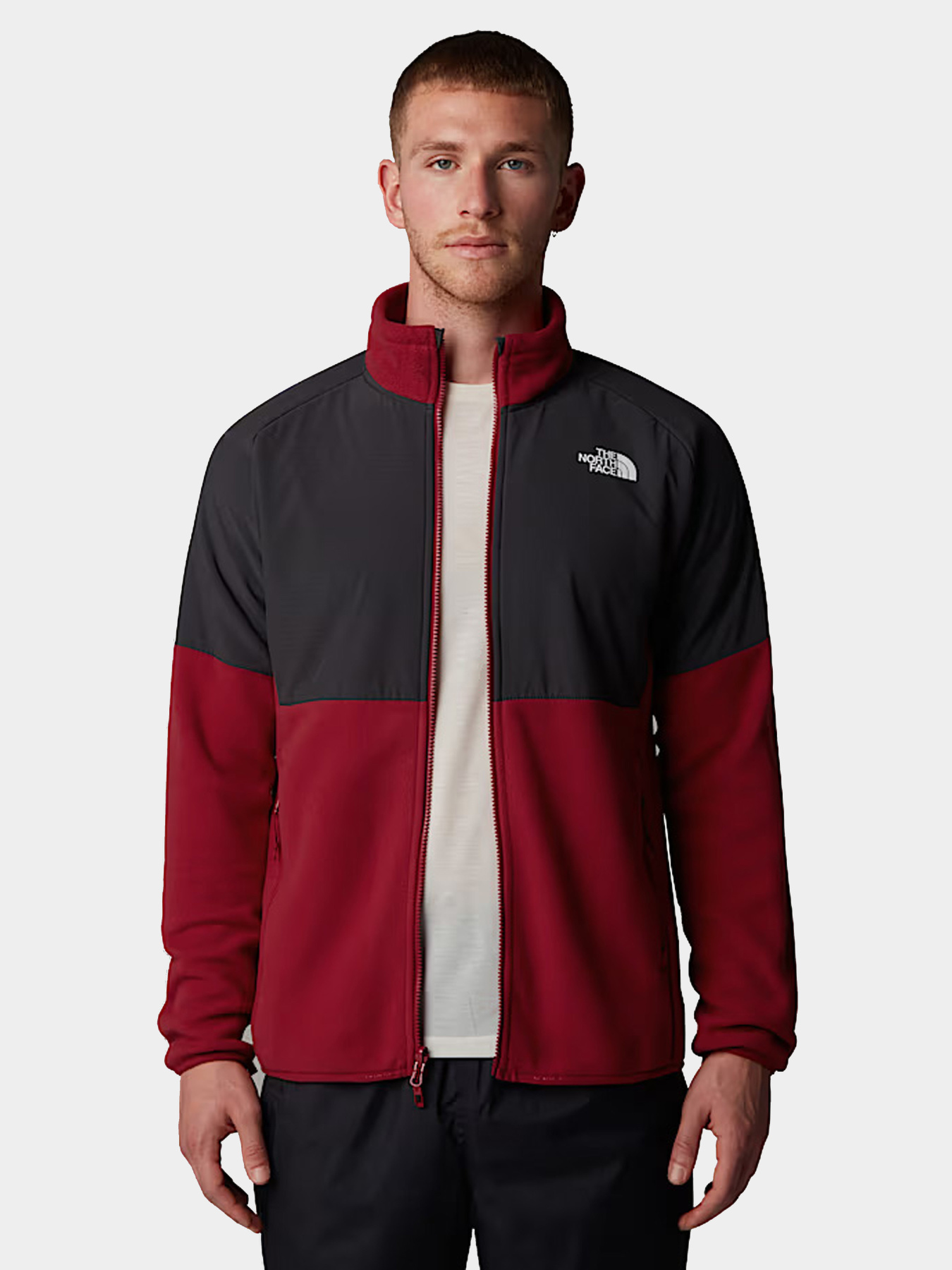 Худи и свитшоты The North Face модель NF0A89JG86O1 Фото