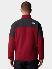 Худи и свитшоты The North Face модель NF0A89JG86O1 Фото