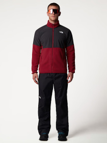 Худи и свитшоты The North Face модель NF0A89JG86O1 Фото