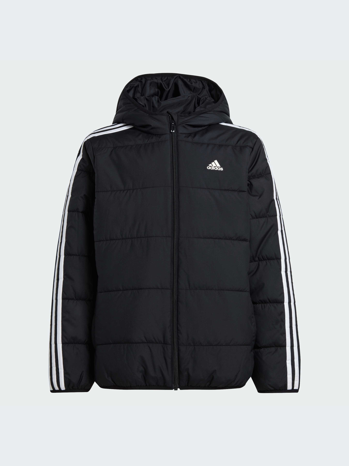 Куртки и дубленки Adidas модель IV9512-KZ Фото