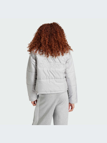 Куртки и дубленки Adidas модель IX8874-KZ Фото