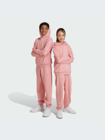 Брюки Adidas модель IV7111-KZ Фото