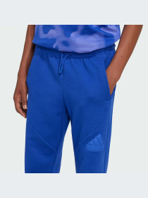 Брюки Adidas модель IX3629-KZ Фото