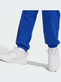 Брюки Adidas модель IX3629-KZ Фото