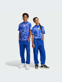 Брюки Adidas модель IX3629-KZ Фото