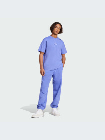 Брюки Adidas модель IY4128-KZ Фото