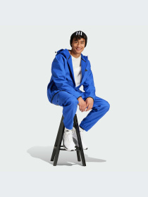 Худи и свитшоты Adidas модель IY1489-KZ Фото