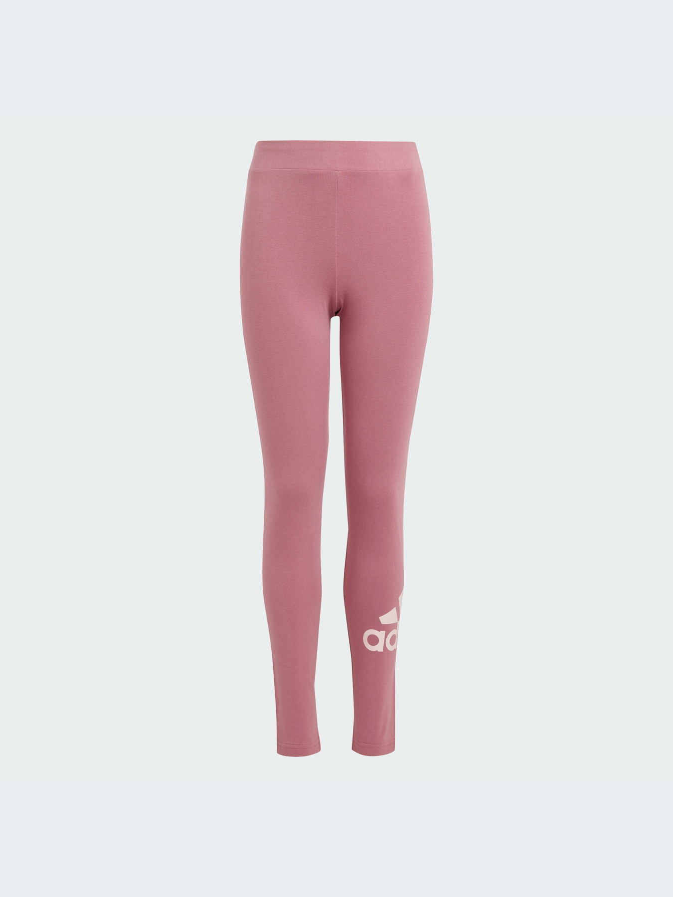 Брюки Adidas модель IZ3475-KZ Фото
