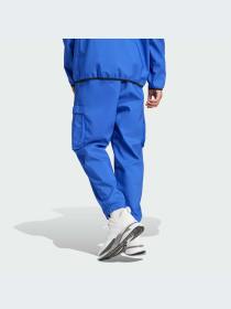 Брюки Adidas модель IV7418-KZ Фото