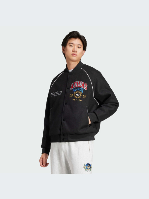 Куртки и дубленки Adidas Graphics модель IX6767-KZ Фото