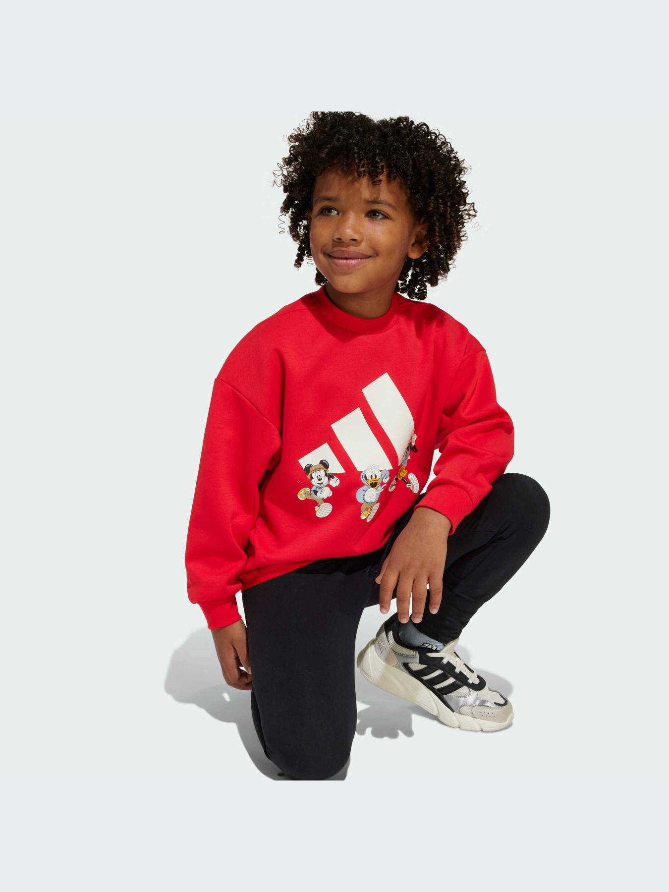 Худи и свитшоты Adidas модель JF3640-KZ Фото