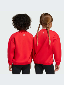 Худи и свитшоты Adidas модель JF3640-KZ Фото
