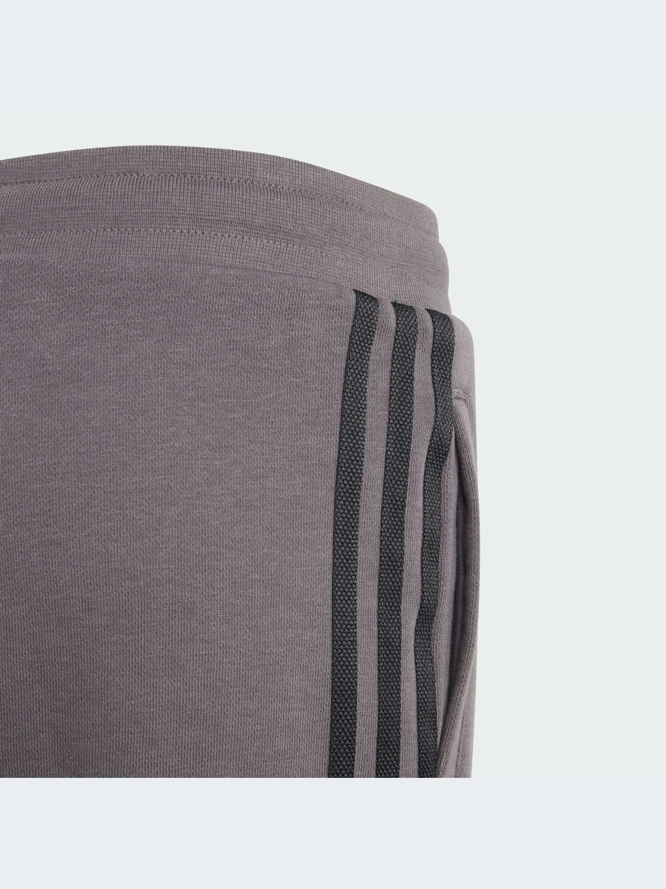 Шорты Adidas Adicolor модель IJ9731-KZ Фото