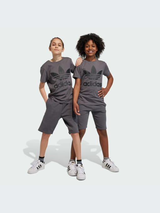 Шорты Adidas Adicolor модель IJ9731-KZ Фото