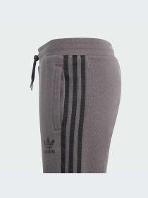 Шорты Adidas Adicolor модель IJ9731-KZ Фото