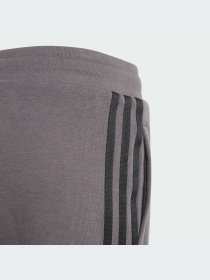 Шорты Adidas Adicolor модель IJ9731-KZ Фото