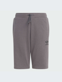 Шорты Adidas Adicolor модель IJ9731-KZ Фото