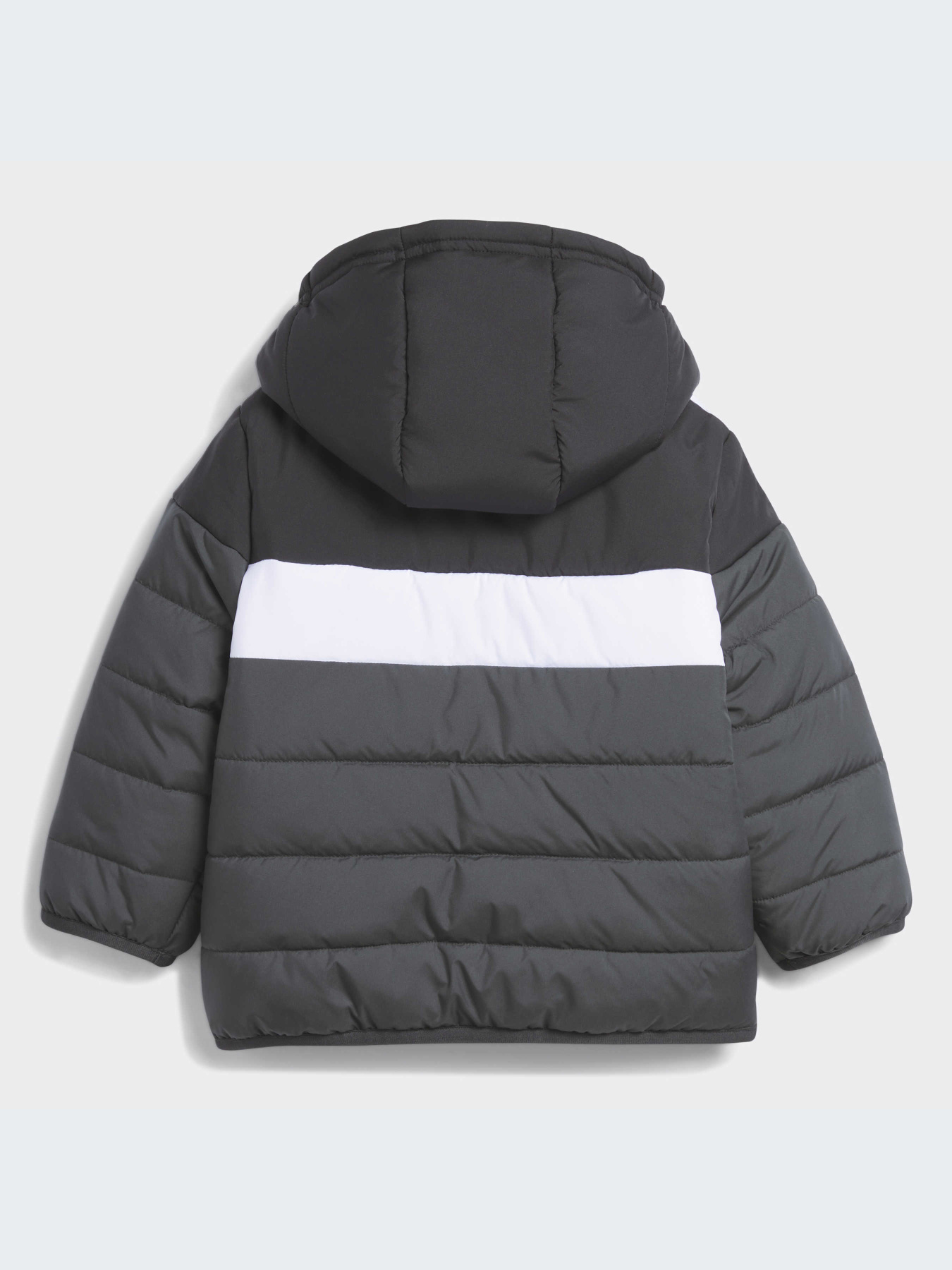 Куртки и дубленки Adidas Adidas Essentials модель IL6099-KZ Фото