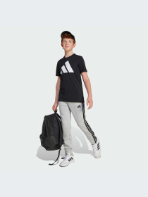 Брюки Adidas модель JE0304-KZ Фото