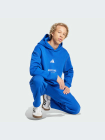 Худи и свитшоты Adidas модель JJ3667-KZ Фото