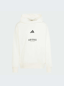 Худи и свитшоты Adidas модель JJ3668-KZ Фото