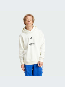 Худи и свитшоты Adidas модель JJ3668-KZ Фото