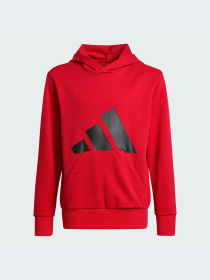 Худи и свитшоты Adidas модель JE1389-KZ Фото