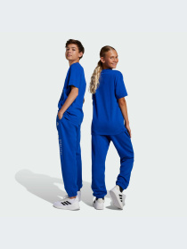 Брюки Adidas модель JC7613-KZ Фото