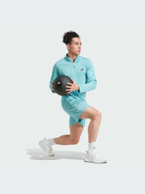 Шорты Adidas модель IW3409-KZ Фото