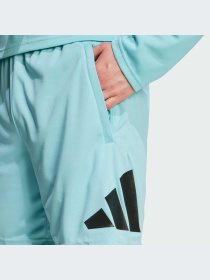 Шорты Adidas модель IW3409-KZ Фото