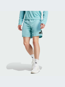 Шорты Adidas модель IW3409-KZ Фото