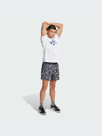 Шорты Adidas модель JD2336-KZ Фото