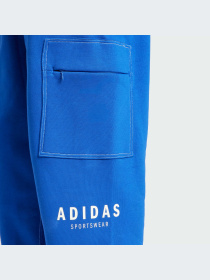 Брюки Adidas модель JJ3663-KZ Фото